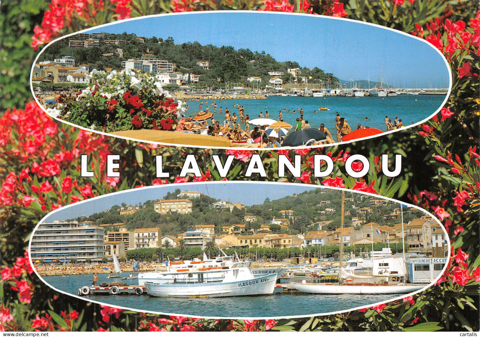 83-LE LAVANDOU-N° 4451-D/0005 - Le Lavandou