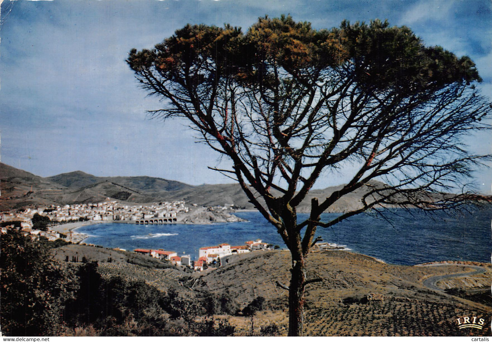 66-BANYULS SUR MER-N° 4451-C/0297 - Banyuls Sur Mer