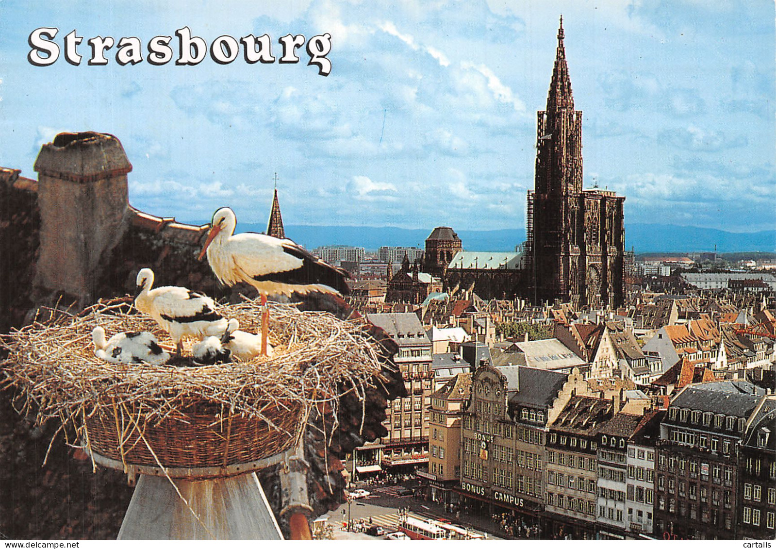 67-STRASBOURG-N° 4451-C/0007 - Strasbourg