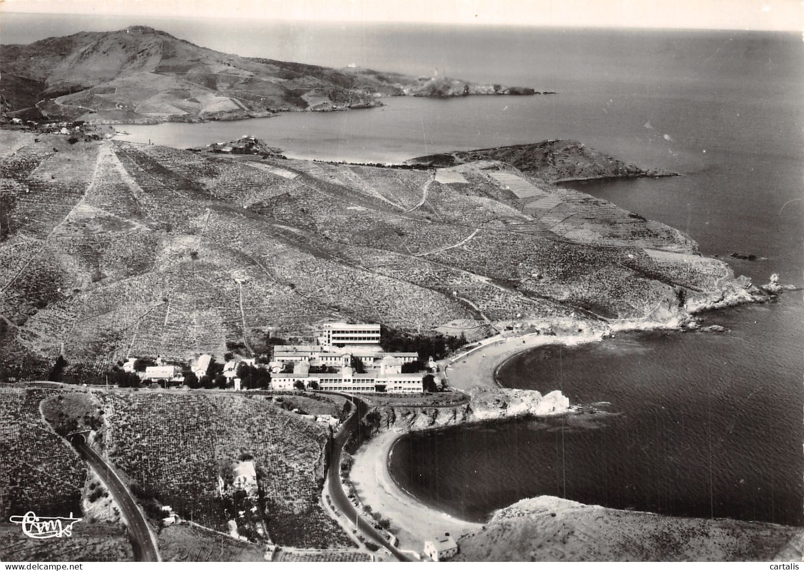 66-BANYULS SUR MER-N° 4452-A/0347 - Banyuls Sur Mer