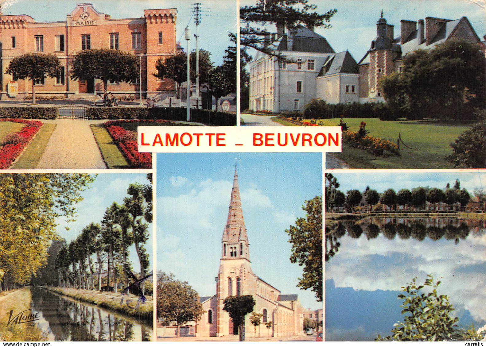 41-LAMOTTE BEUVRON-N° 4452-D/0271 - Lamotte Beuvron
