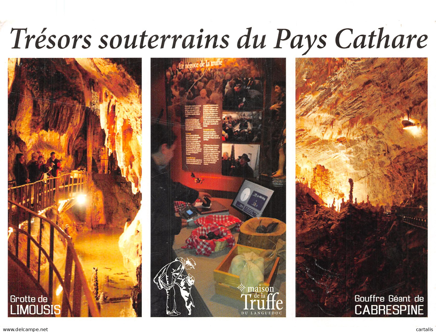 11-TRESORS SOUTERRAINS DU PAYS CATHARE-N° 4452-D/0221 - Autres & Non Classés