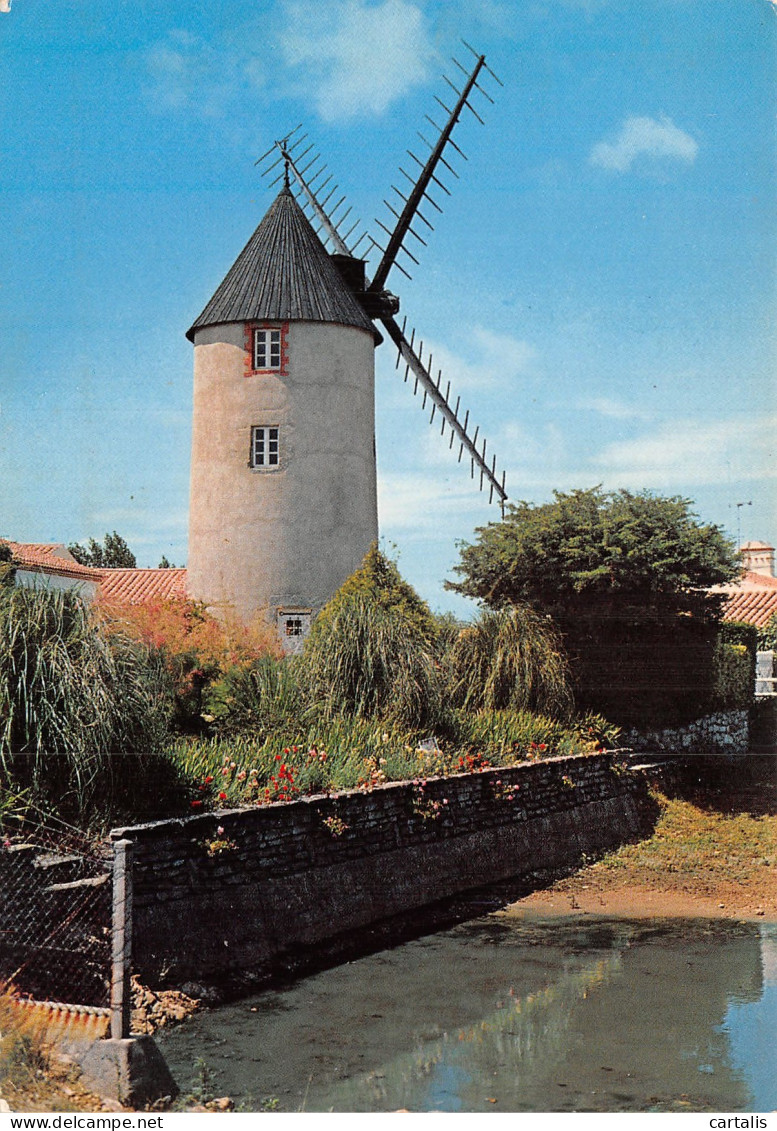 85-MOULIN EN VENDEE-N° 4452-C/0241 - Sonstige & Ohne Zuordnung