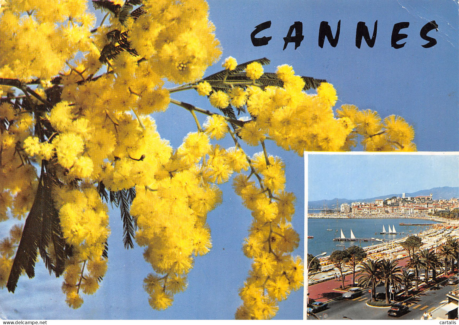 06-CANNES-N° 4452-C/0185 - Cannes
