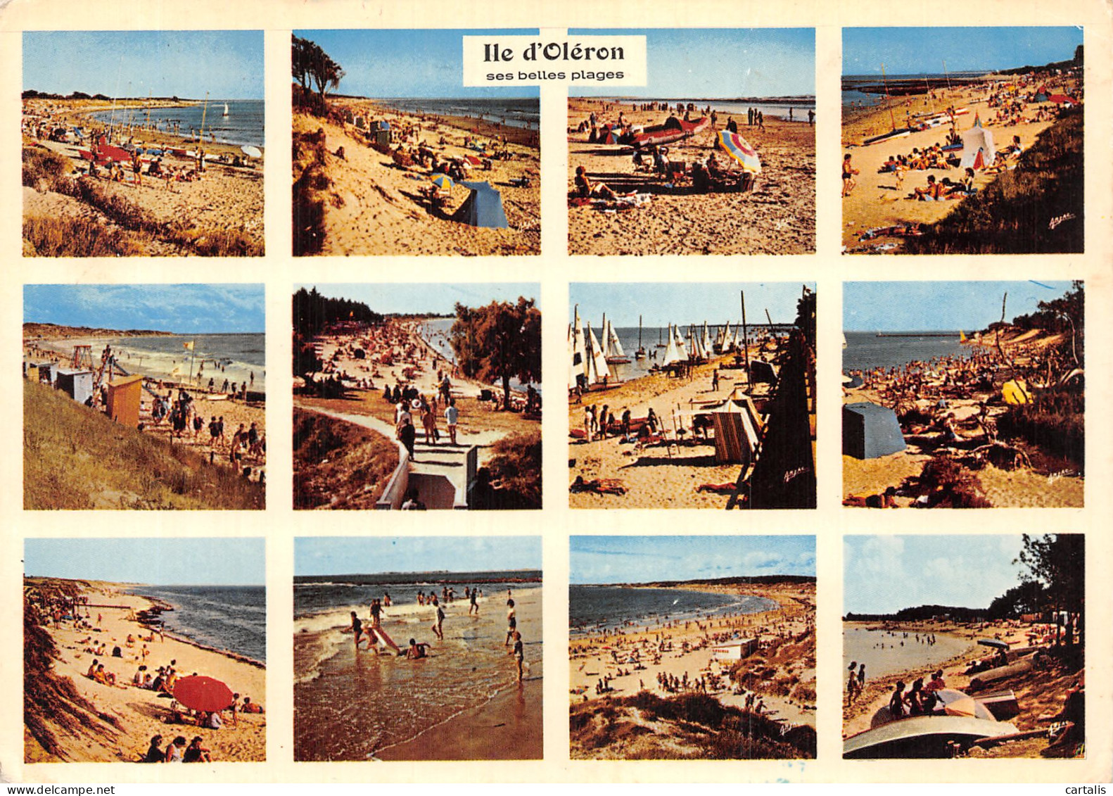 17-ILE D OLERON-N° 4452-C/0183 - Ile D'Oléron