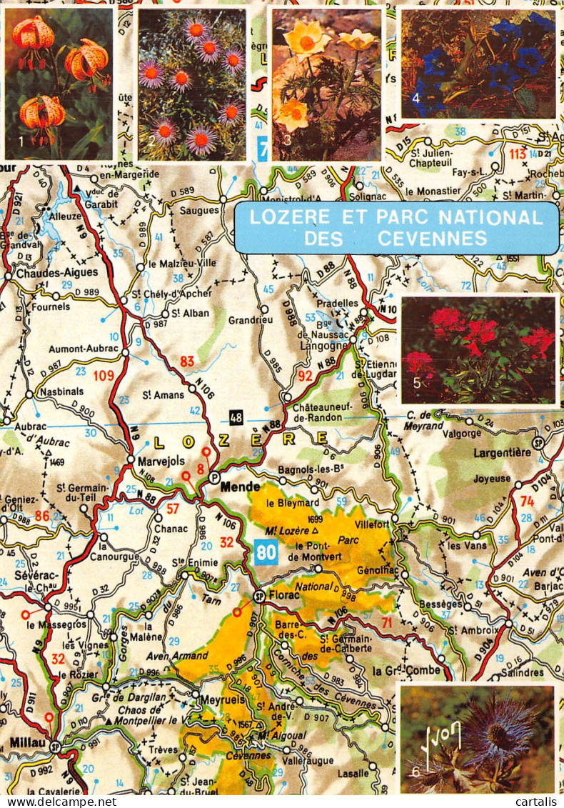 48-LOZERE ET PARC NATIONAL DES CEVENNES-N° 4453-B/0055 - Sonstige & Ohne Zuordnung