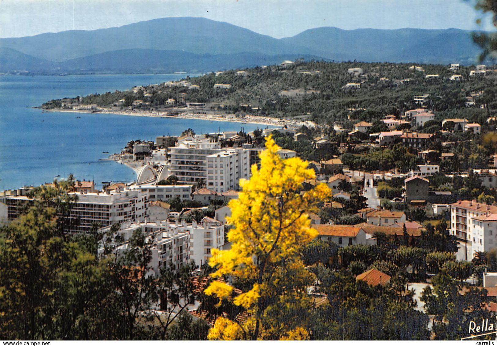 83-SAINTE MAXIME-N° 4453-A/0241 - Sainte-Maxime