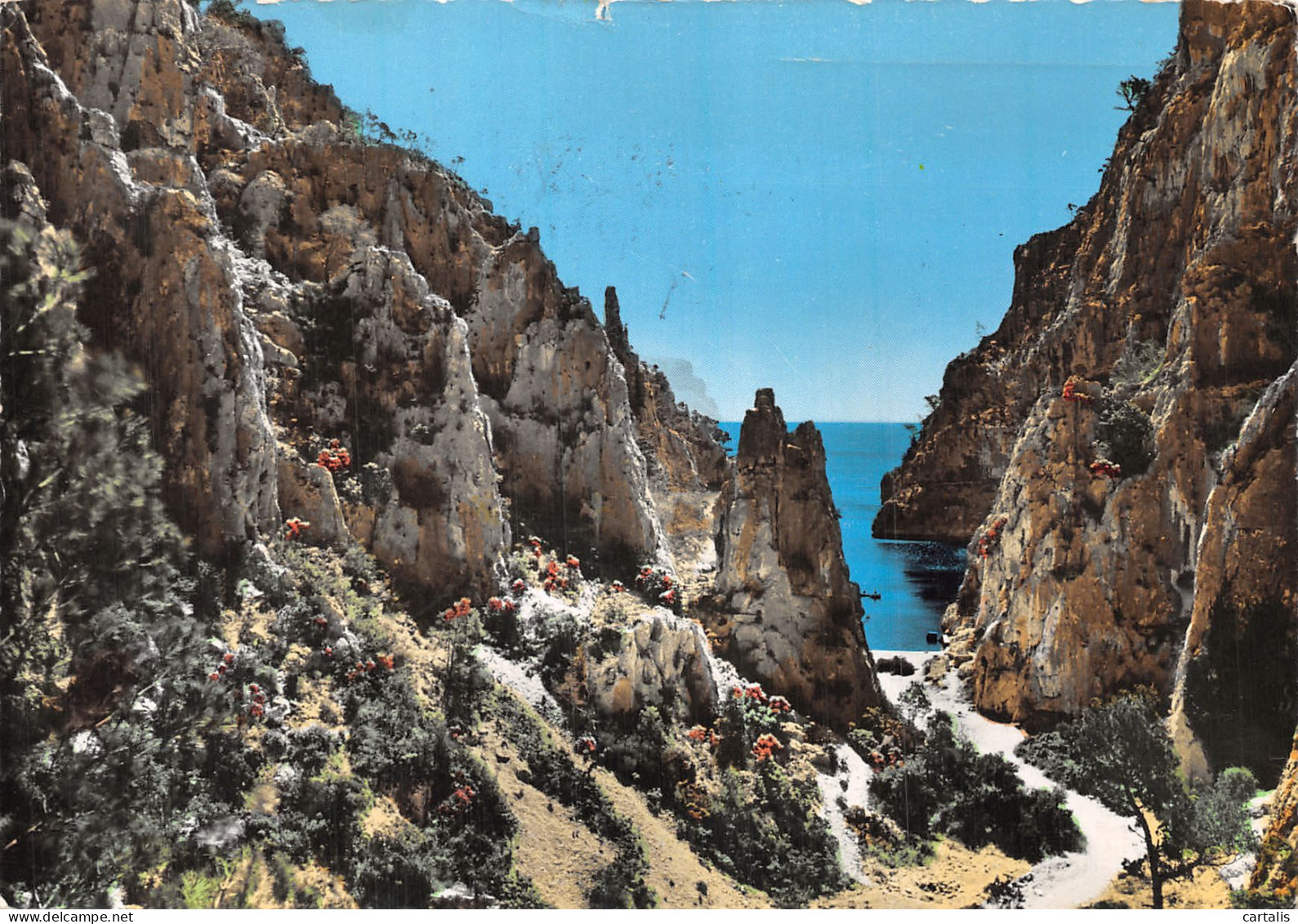 13-CASSIS-N° 4453-A/0243 - Cassis