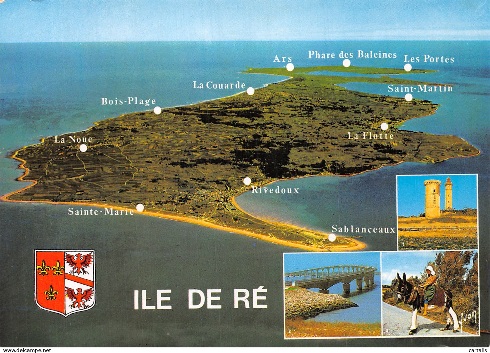 17-ILE DE RE-N° 4454-B/0035 - Ile De Ré