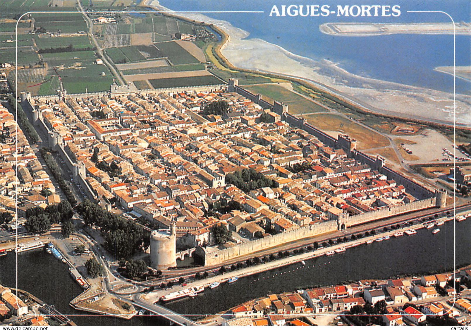 13-AIGUES MORTES-N° 4454-A/0235 - Aigues-Mortes