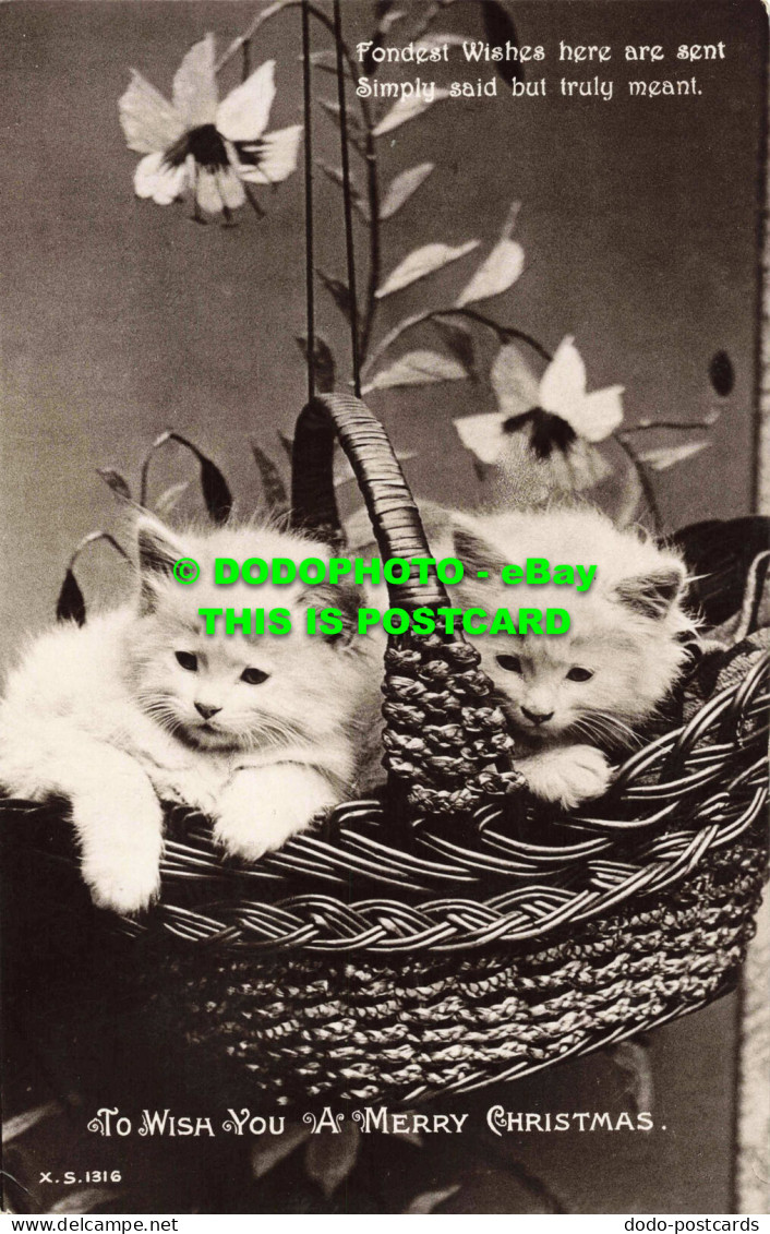 R558569 To Wish You A Merry Christmas. Two Kittens In A Basket. Rotary Photograp - Monde