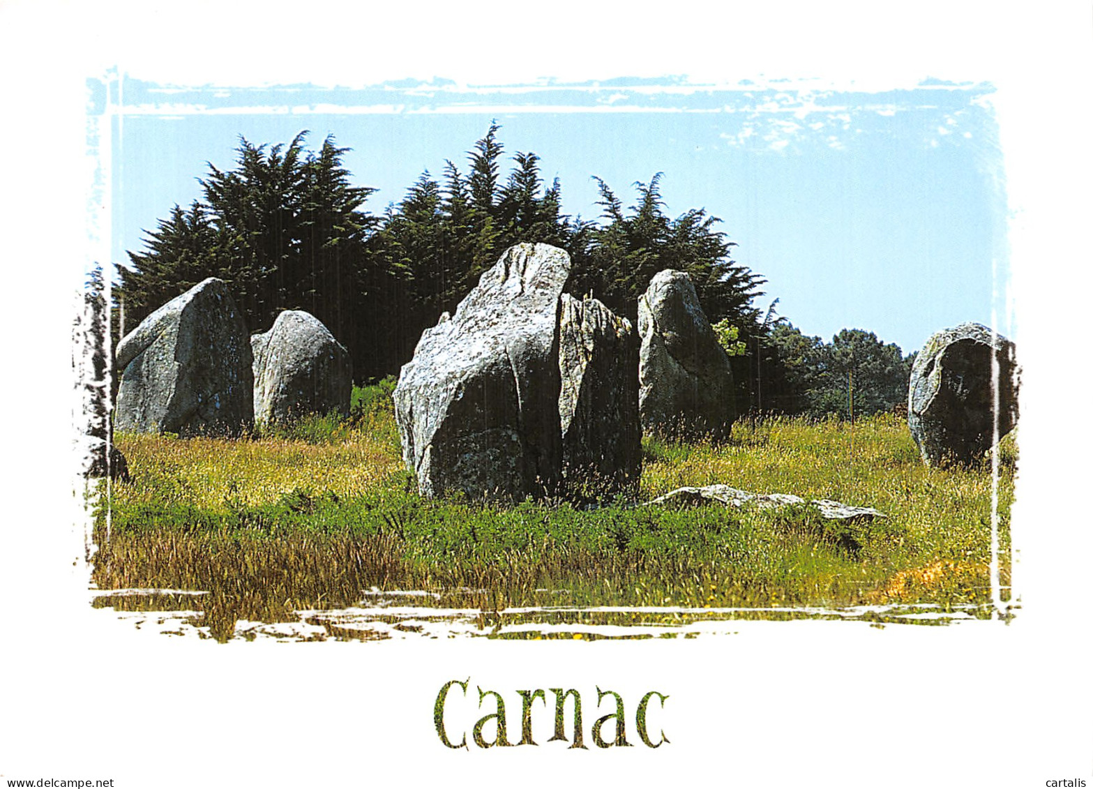 56-CARNAC-N° 4454-D/0247 - Carnac