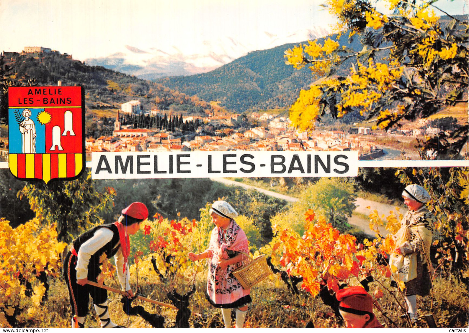 66-AMELIE LES BAINS-N° 4454-D/0183 - Sonstige & Ohne Zuordnung