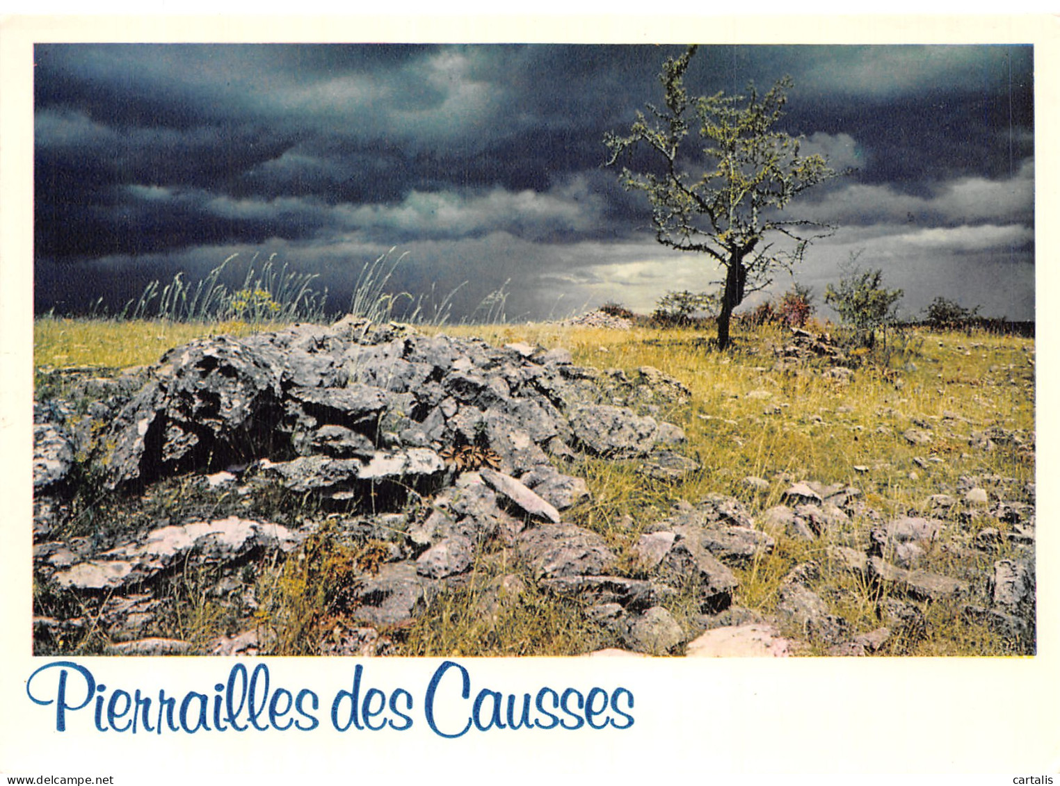 48-PIERRAILLES DES CAUSSES-N° 4454-D/0037 - Autres & Non Classés