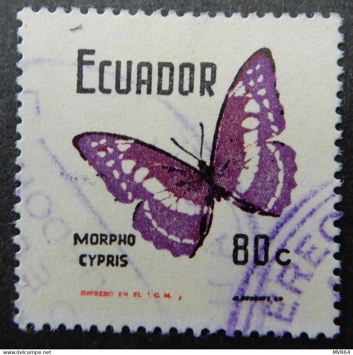 Ecuador 1953 (3a) Butterfly Morpho Cypris - Equateur