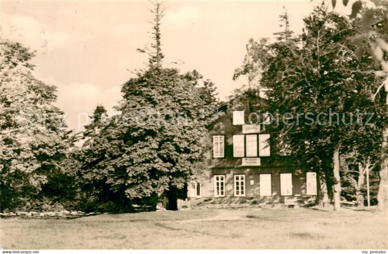 73675118 Friedrichroda Waldkaffee Tanzbuche Thueringer Wald Friedrichroda - Friedrichroda