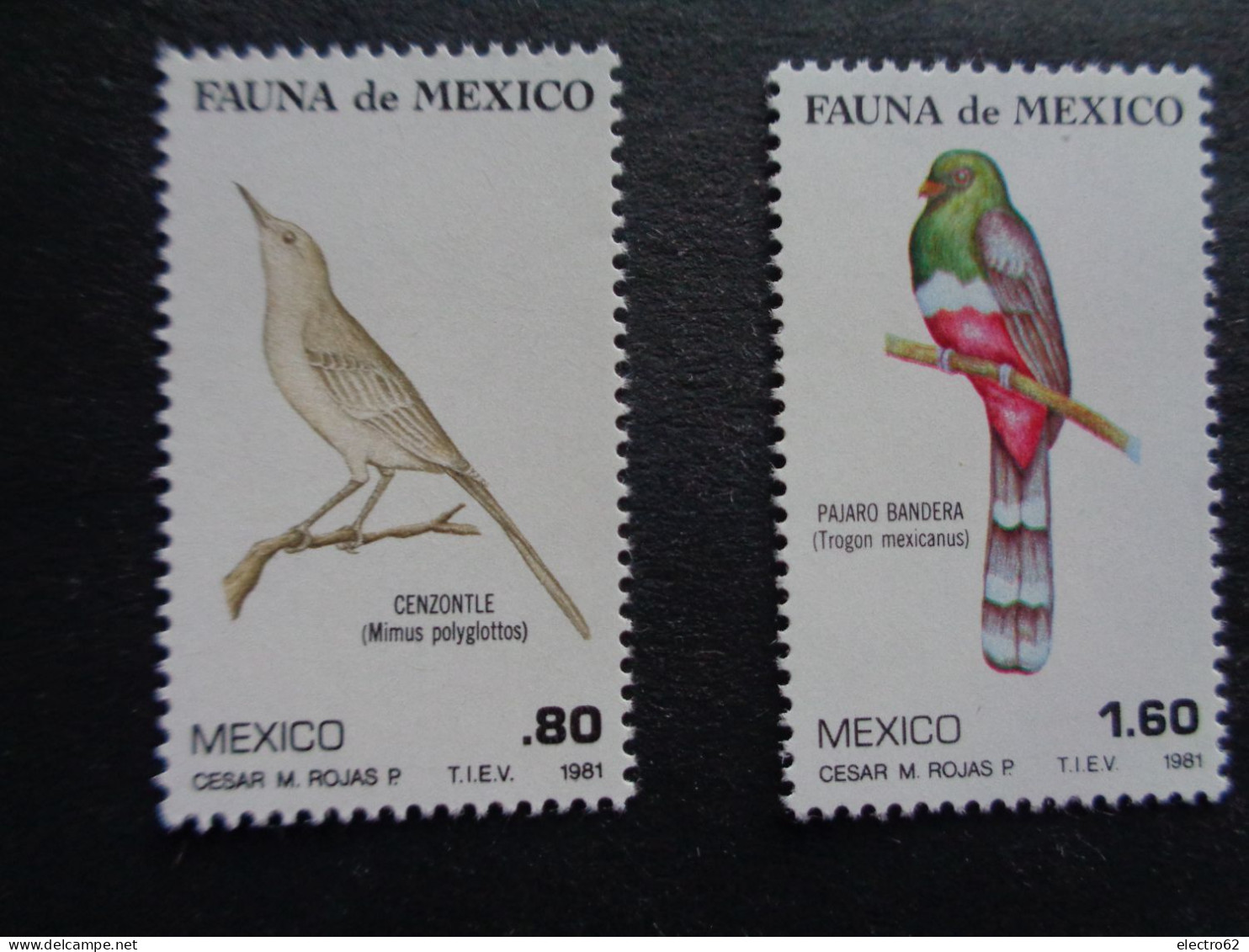 Mexique Mexico 1981 Oiseaux Pajara Bandero Et Cenzontle Bird Vogel Pájaro Uccello Uccelli Pajáros Oiseau Messico Mexiko - Otros & Sin Clasificación