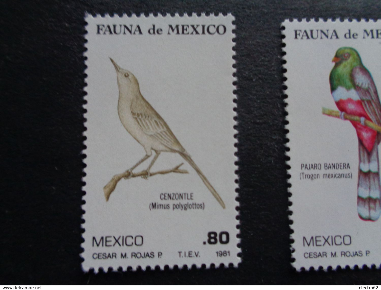 Mexique Mexico 1981 Oiseaux Pajara Bandero Et Cenzontle Bird Vogel Pájaro Uccello Uccelli Pajáros Oiseau Messico Mexiko - Autres & Non Classés