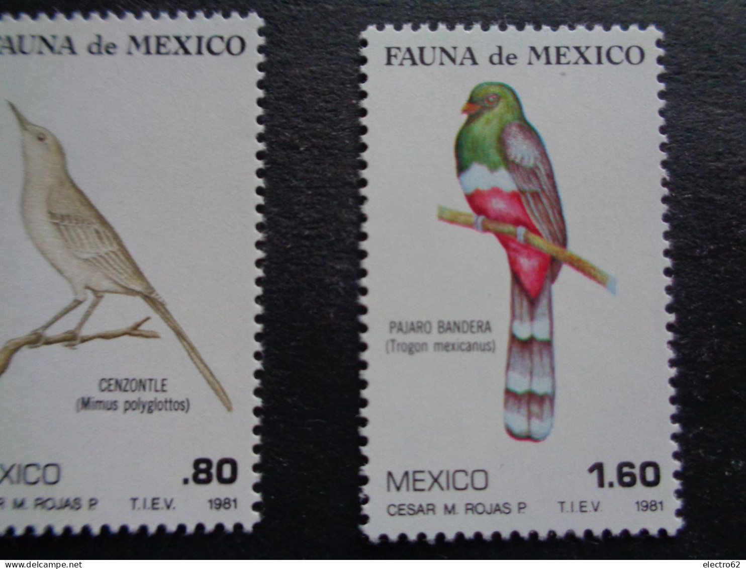 Mexique Mexico 1981 Oiseaux Pajara Bandero Et Cenzontle Bird Vogel Pájaro Uccello Uccelli Pajáros Oiseau Messico Mexiko - Otros & Sin Clasificación