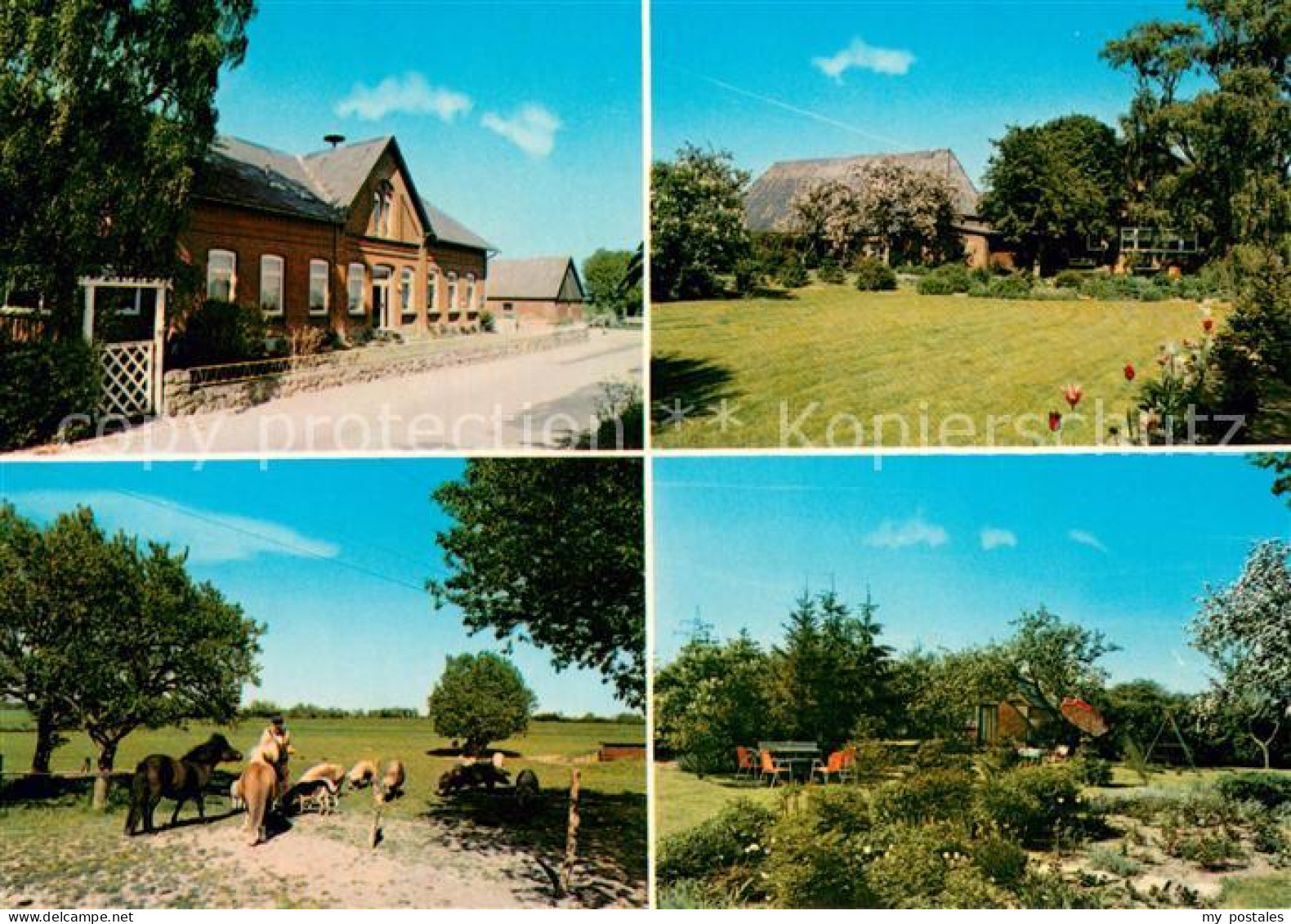 73674019 Vogelsang Bungsberg Bauernhof Pferde Park Vogelsang Bungsberg - Andere & Zonder Classificatie