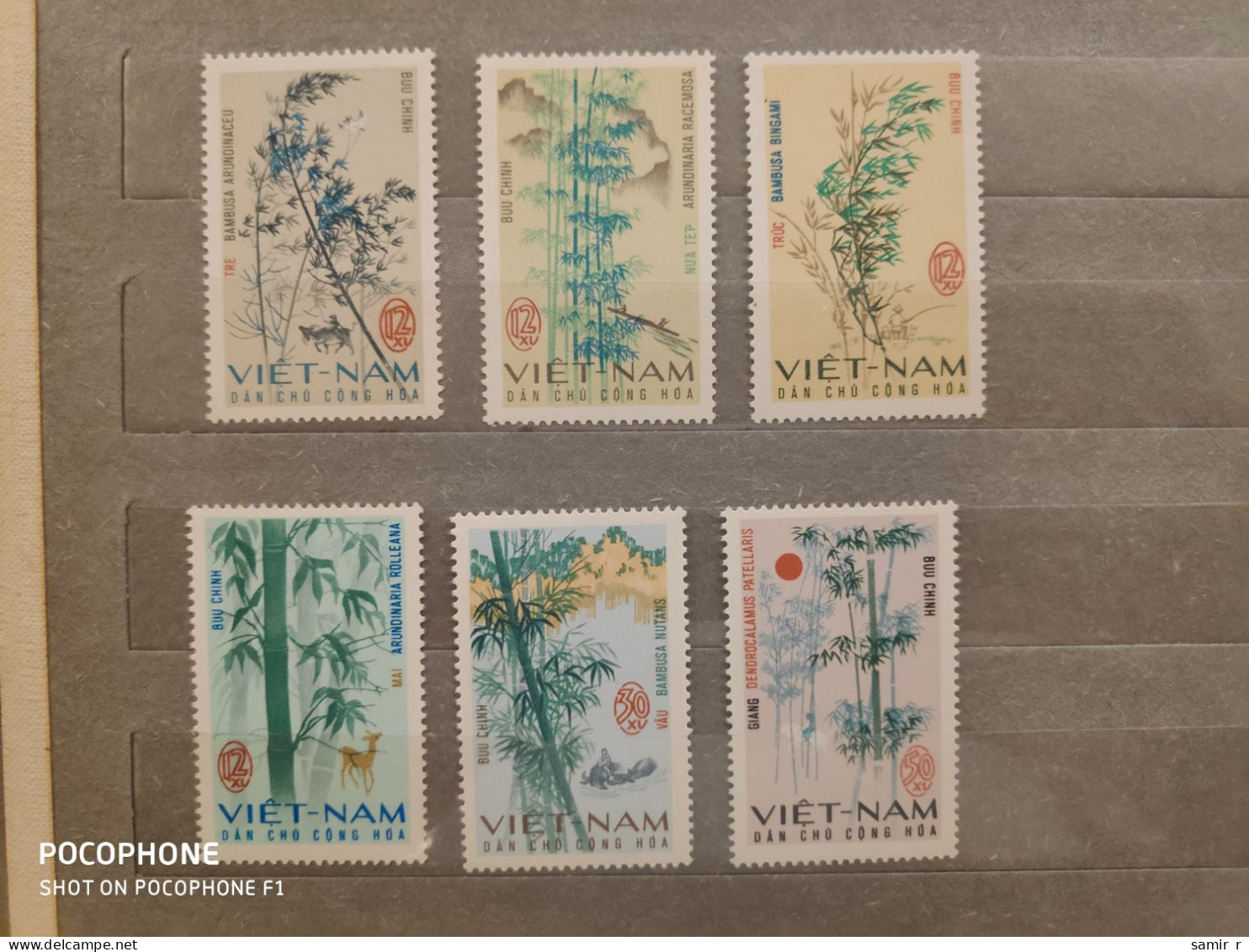 1967	Vietnam	Flora (F93) - Vietnam