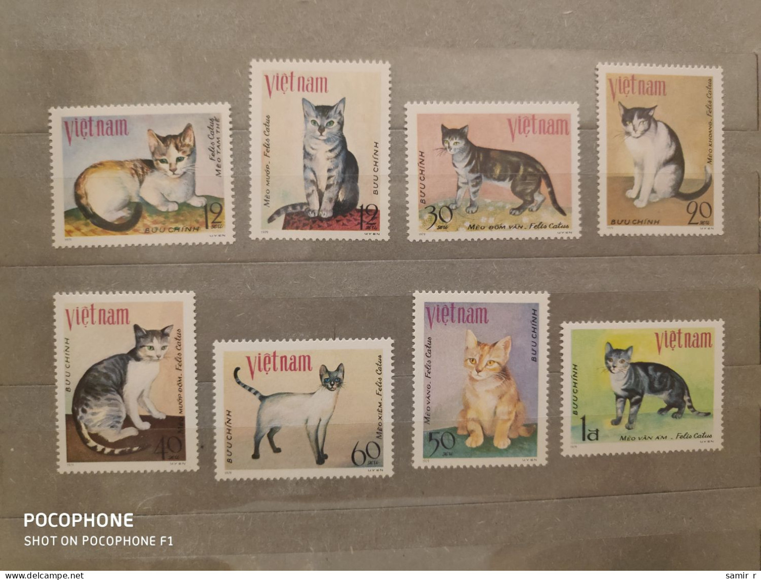 1979	Vietnam	Cats (F93) - Vietnam
