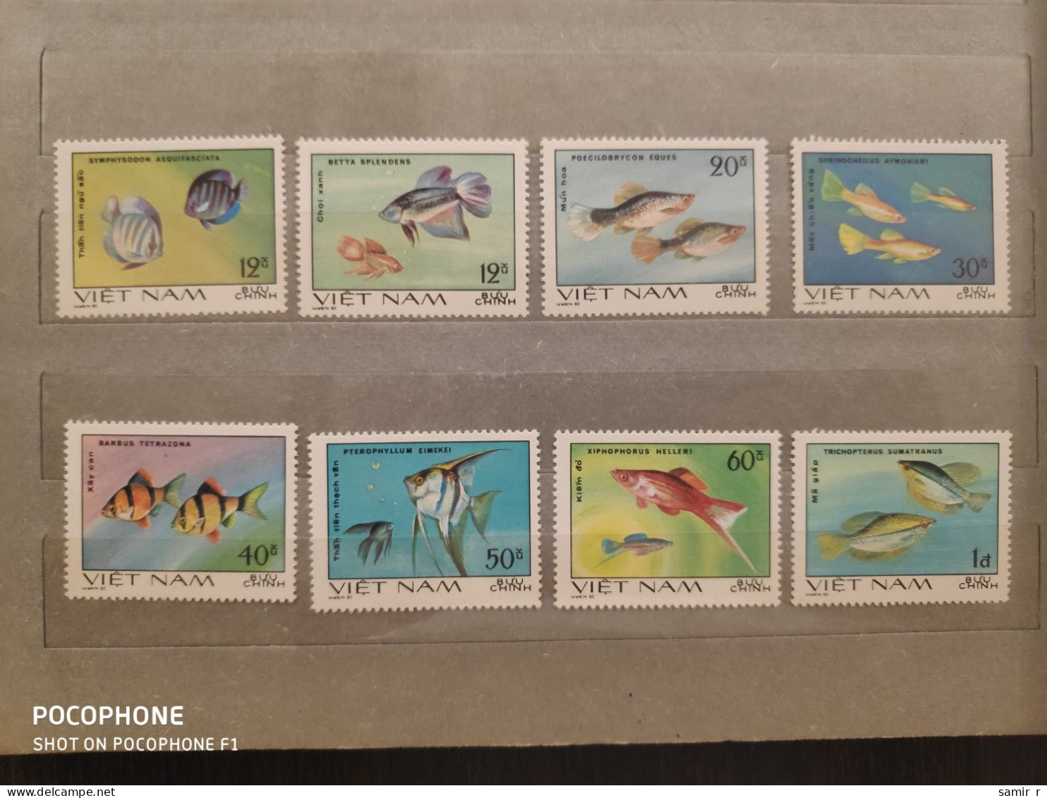 1980	Vietnam	Fishes (F93) - Vietnam