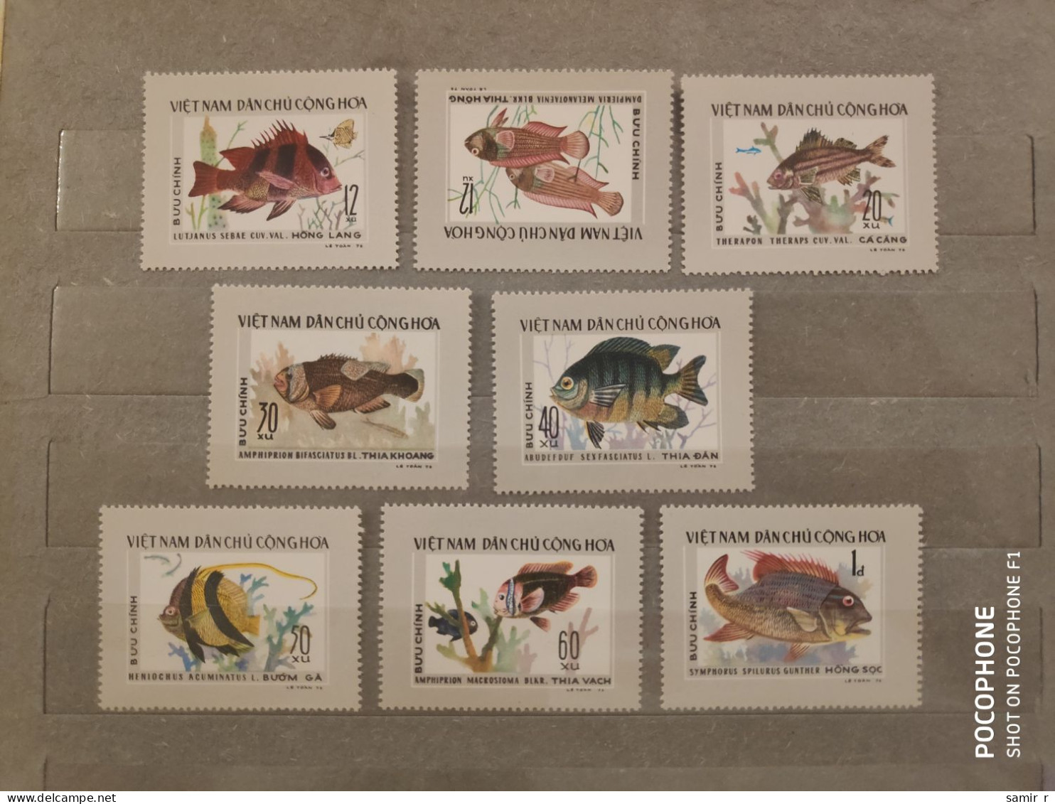 1976	Vietnam	Fishes (F93) - Vietnam