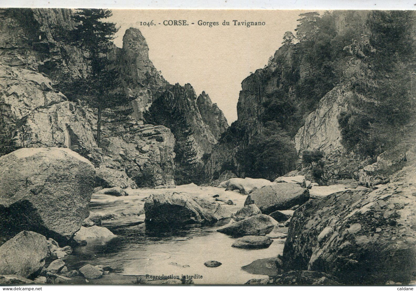 -2B - CORSE-  Gorges Du TAVIGNANO.       Collection. J.Moretti Corté N°: 1046 - Corte