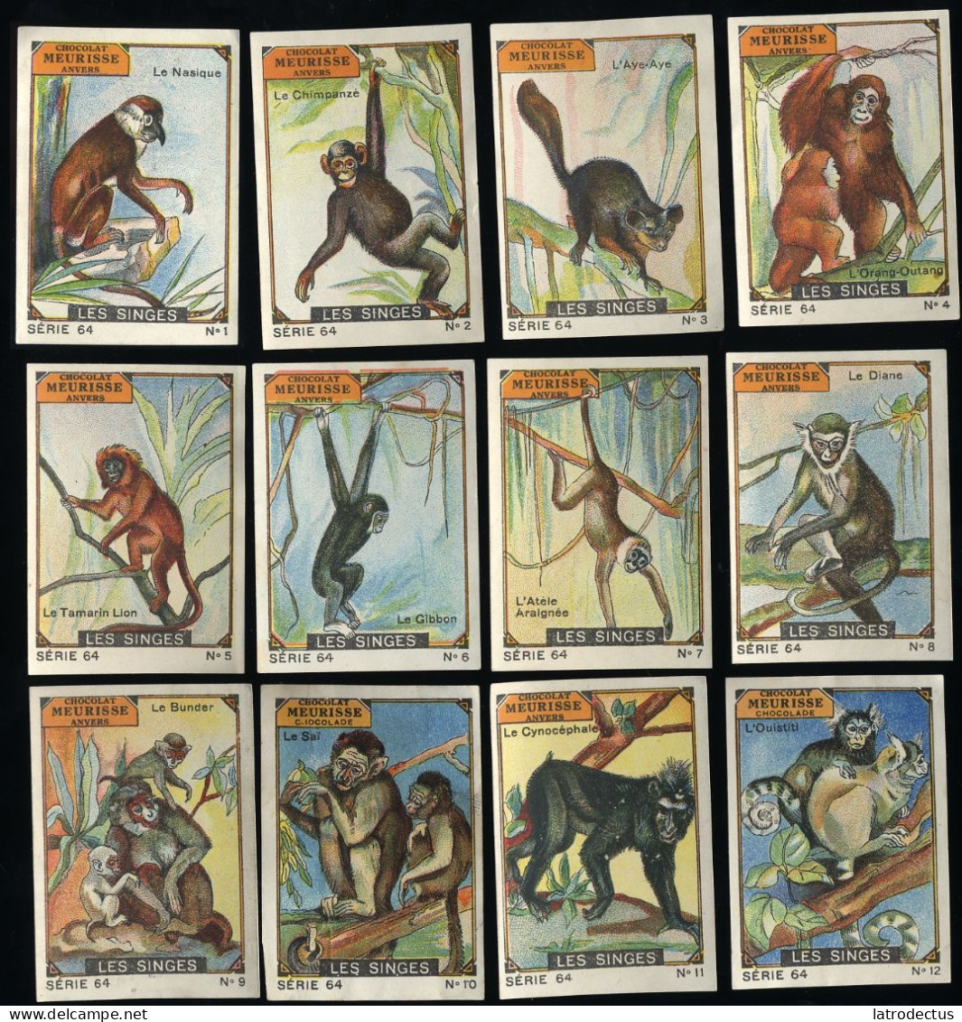 Meurisse - Ca 1930 - 64 - Les Singes, Monkeys - Full Serie - Andere & Zonder Classificatie