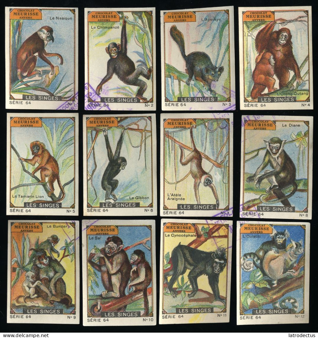 Meurisse - Ca 1930 - 64 - Les Singes, Monkeys - Full Serie - Autres & Non Classés