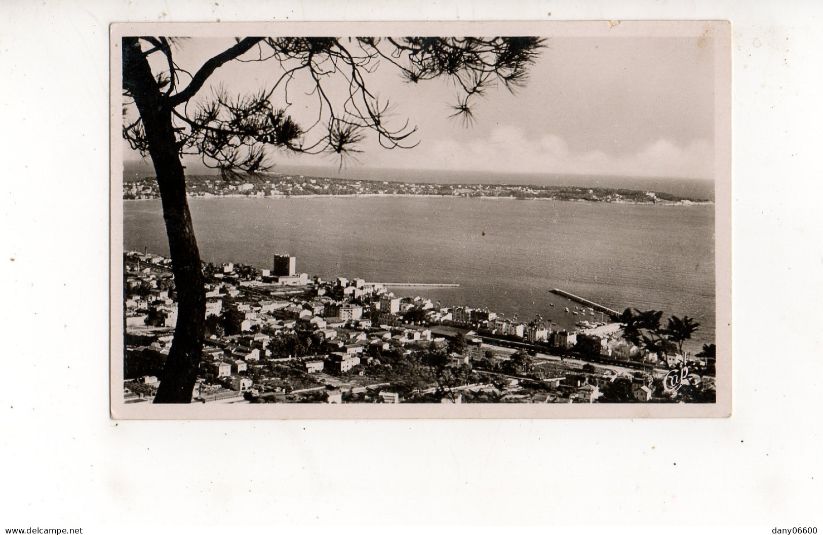 GOLFE JUAN  (Carte Photo) - Sonstige & Ohne Zuordnung