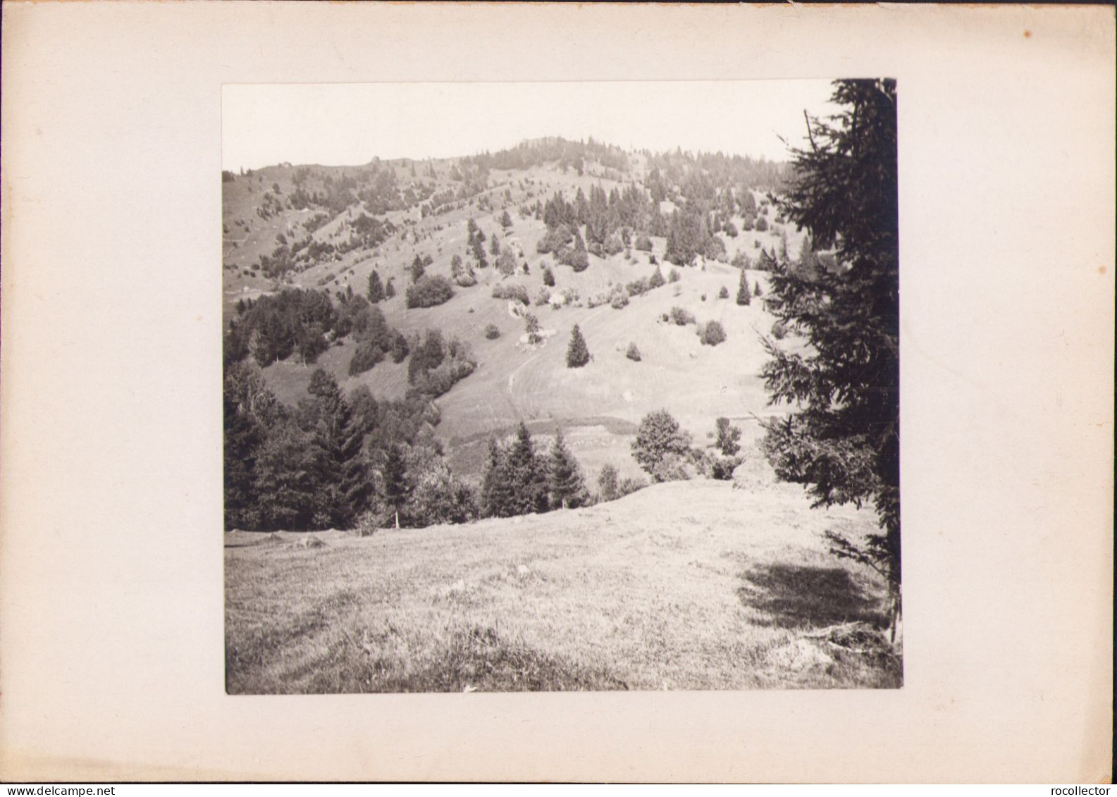Izvorul Alb, Județul Neamț, Fotografie De Emmanuel De Martonne, 1921 G101N - Lugares