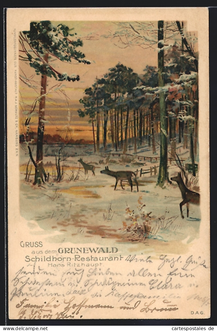 Lithographie Berlin-Grunewald, Waldpartie Mit Rehen Im Schnee  - Grunewald