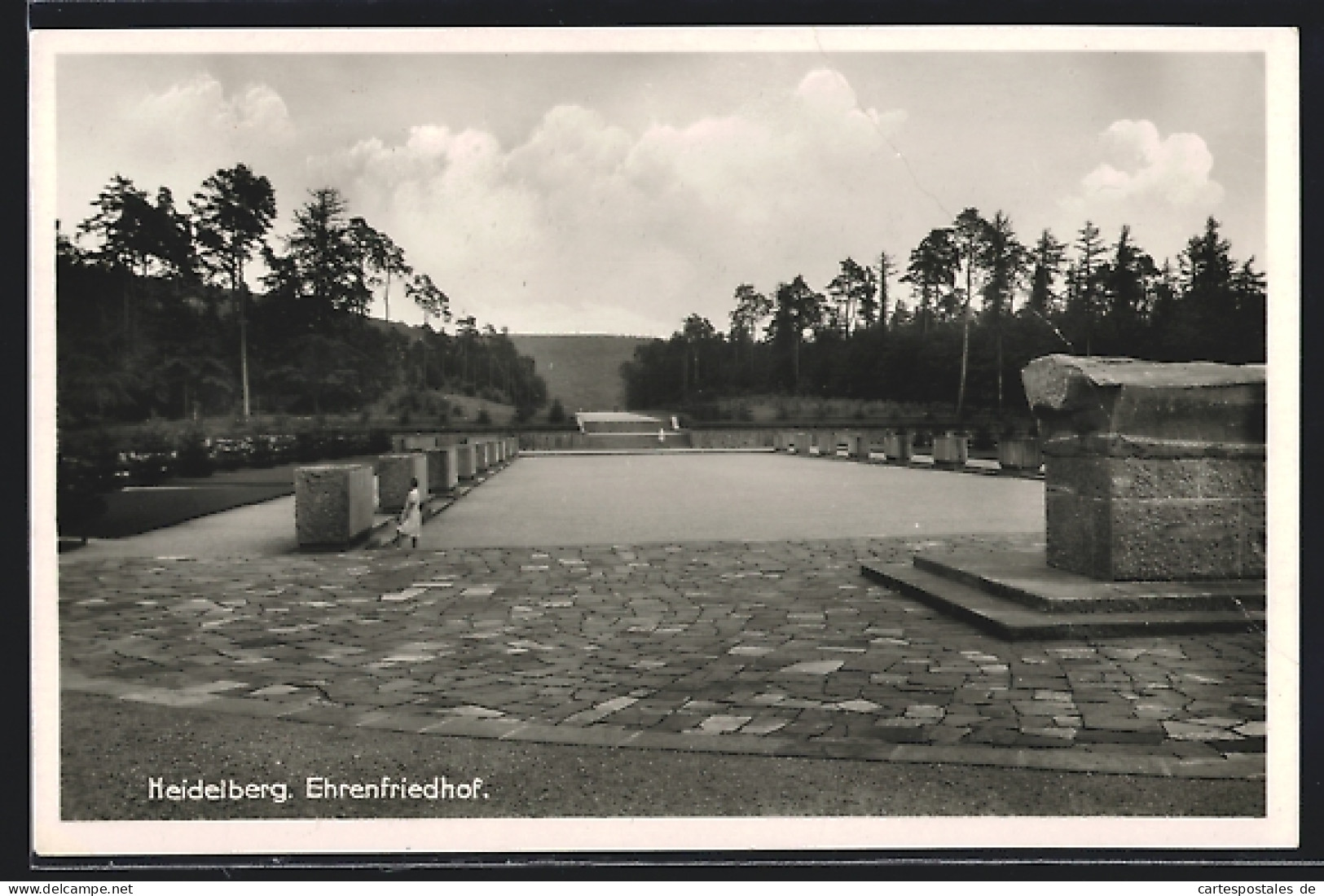 AK Heidelberg / Neckar, Partie Auf Dem Ehrenfriedhof  - Heidelberg