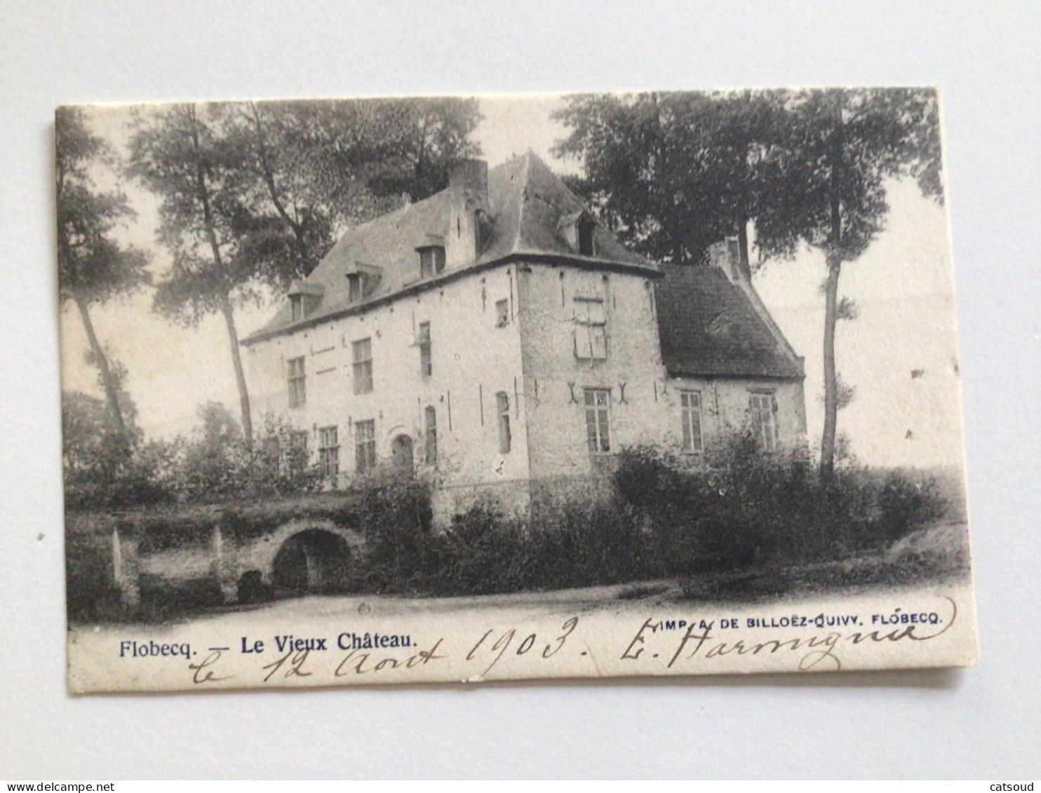 Carte Postale Ancienne (1903) Flobecq Le Vieux Château - Flobecq - Vloesberg