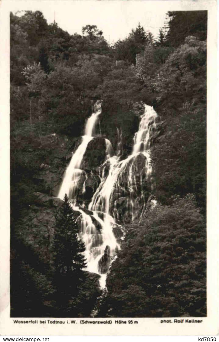 Todtnau - Wasserfall - Todtnau