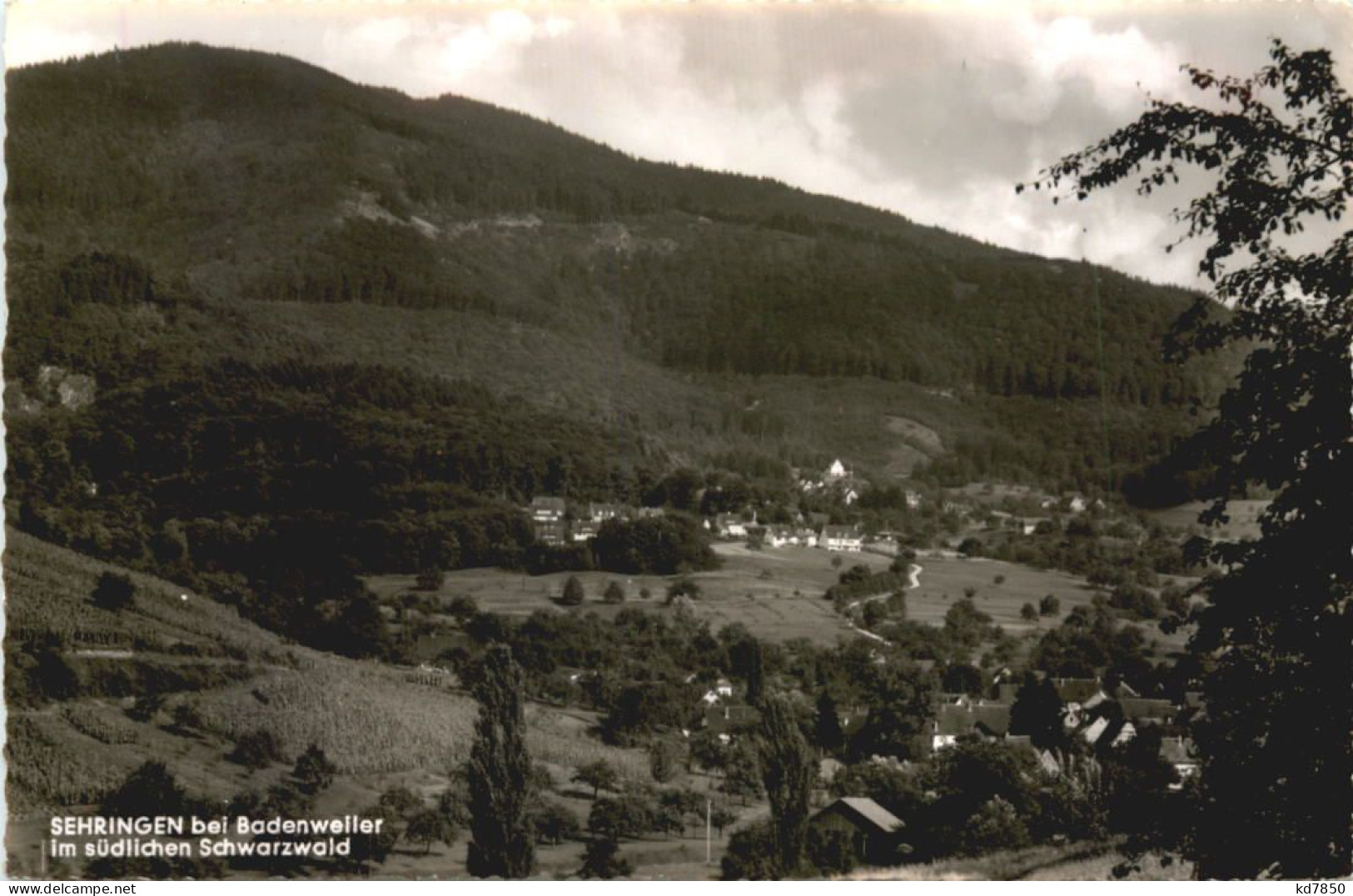 Sehringen Bei Badenweiler - Badenweiler