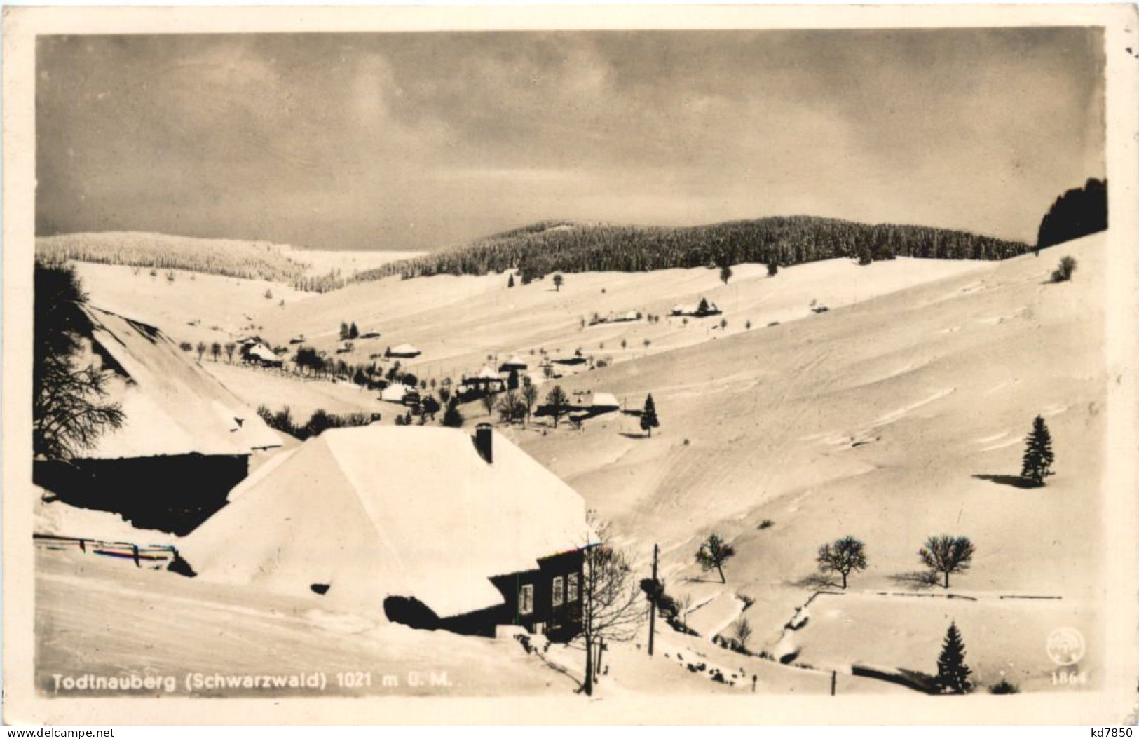 Todtnauberg Im Schwarzwald - Todtnau