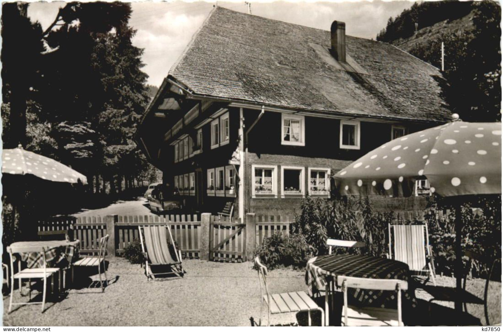 Aftersteg Schwarzwald - Todtnau - Aftersteger Mühle - Todtnau