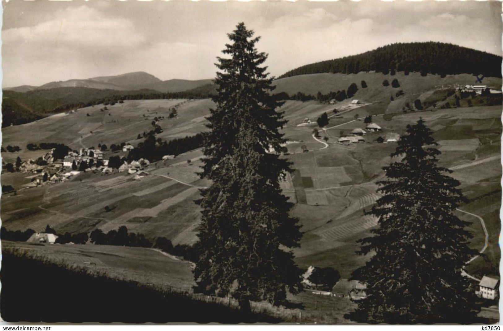 Todtnauberg - Tannanhof - Todtnau