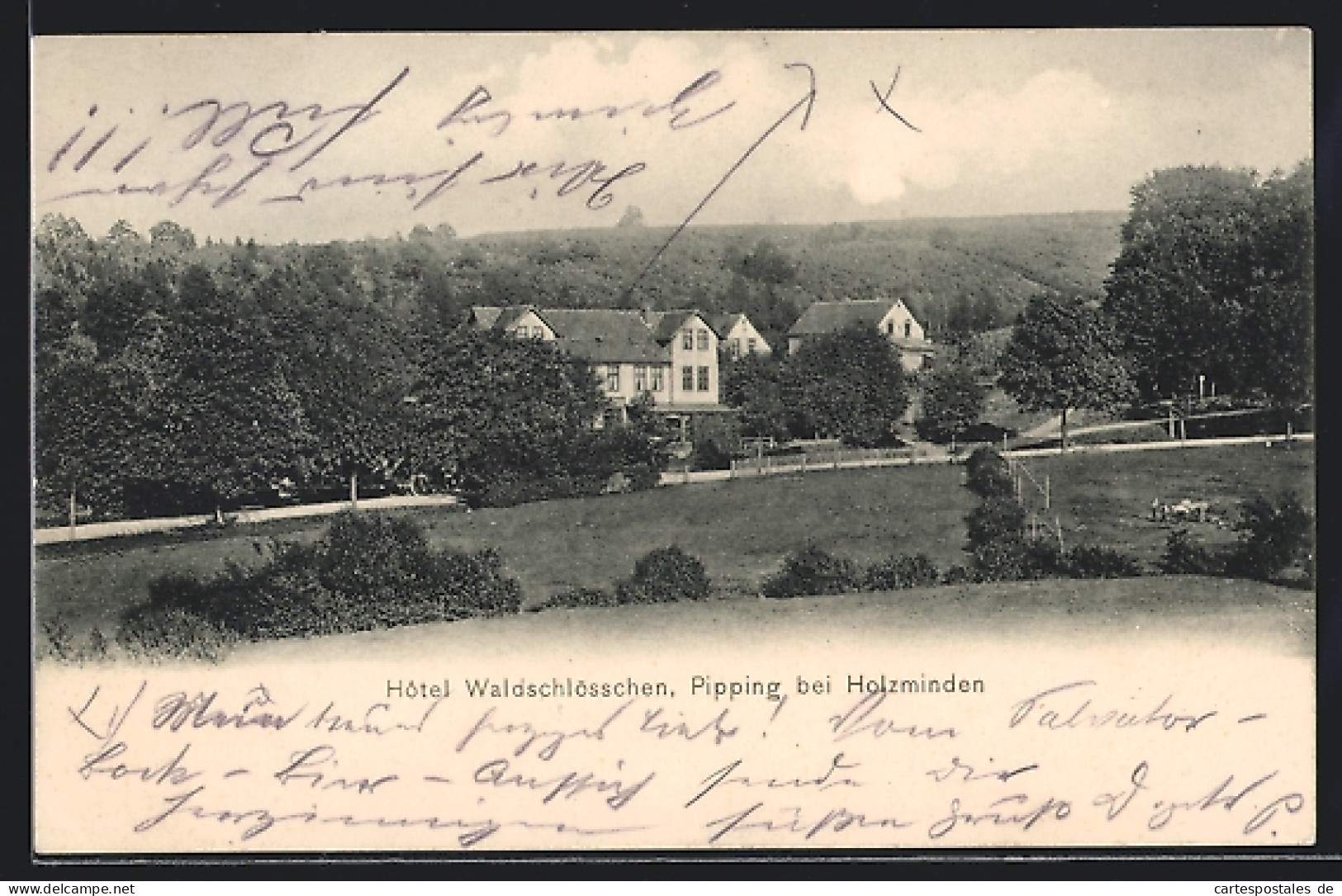 AK Pipping B. Holzminden, Hotel Waldschlösschen  - Holzminden