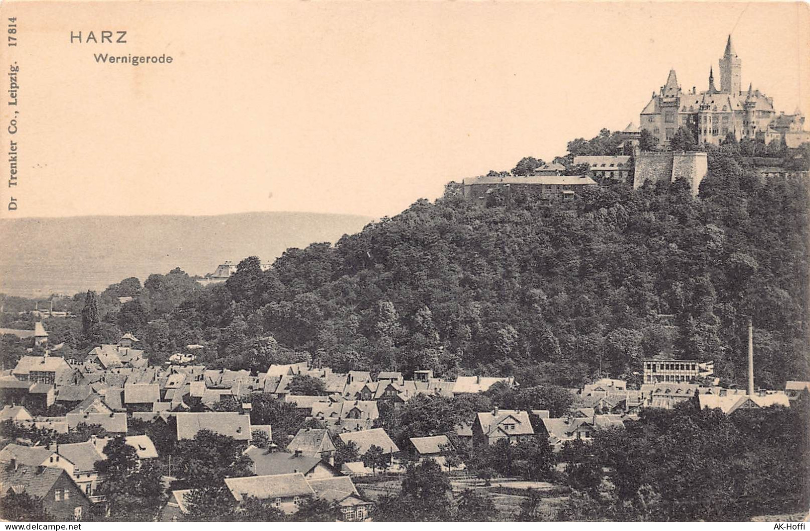 Wernigerode Am Harz, Totalansicht, Blick Auf Schloss Und Schlossberg - Wernigerode