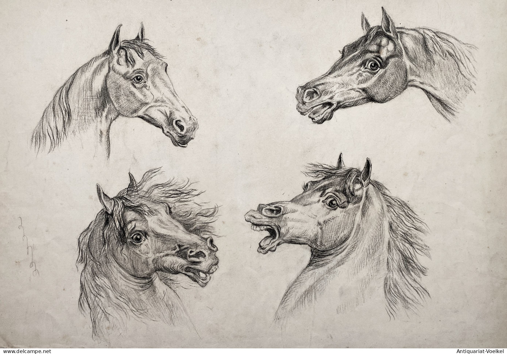 (Pferde Perdeköpfe Horses Cheval) - Zeichnung Dessin Drawing - Stiche & Gravuren