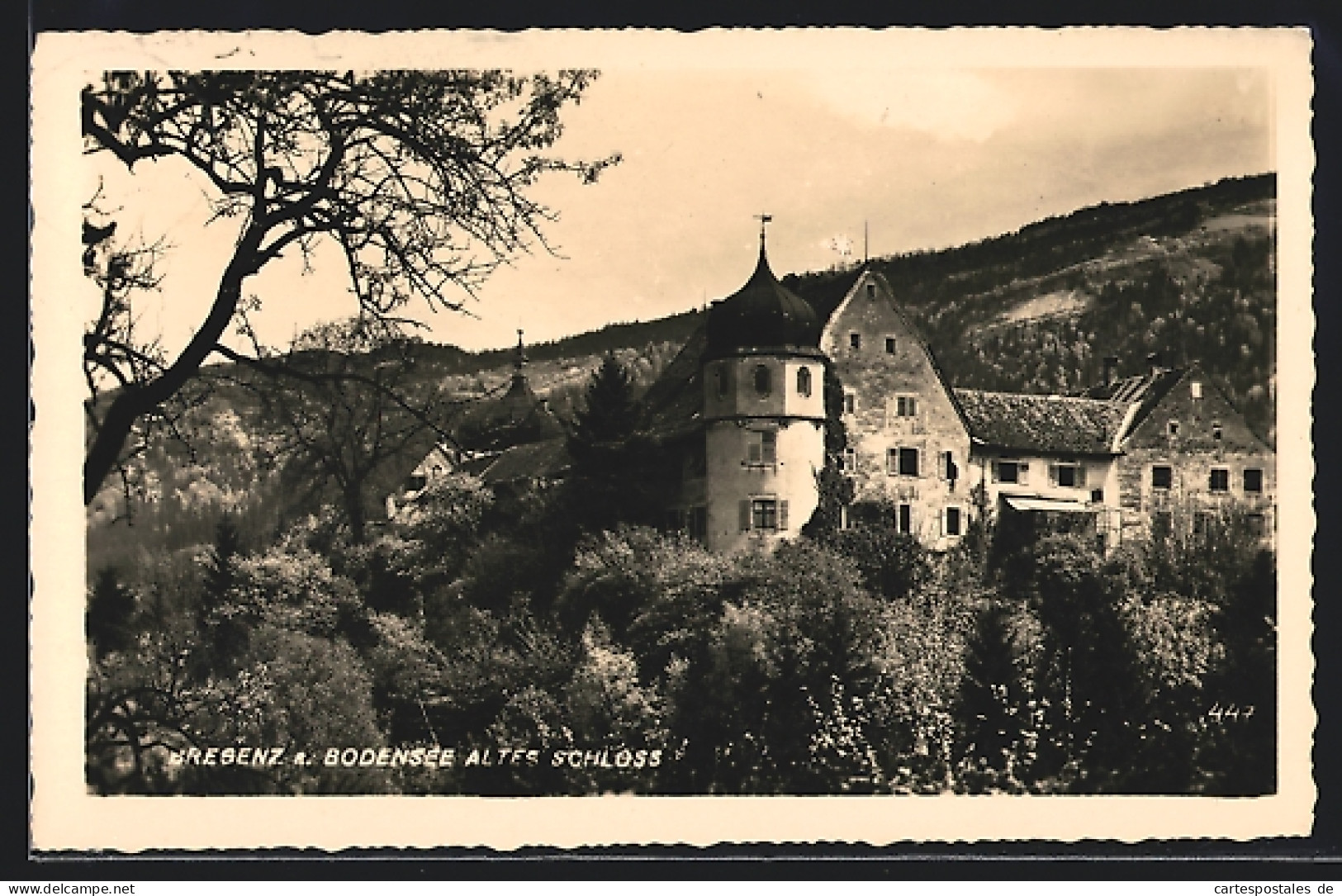 AK Bregenz A / B., Altes Schloss  - Other & Unclassified