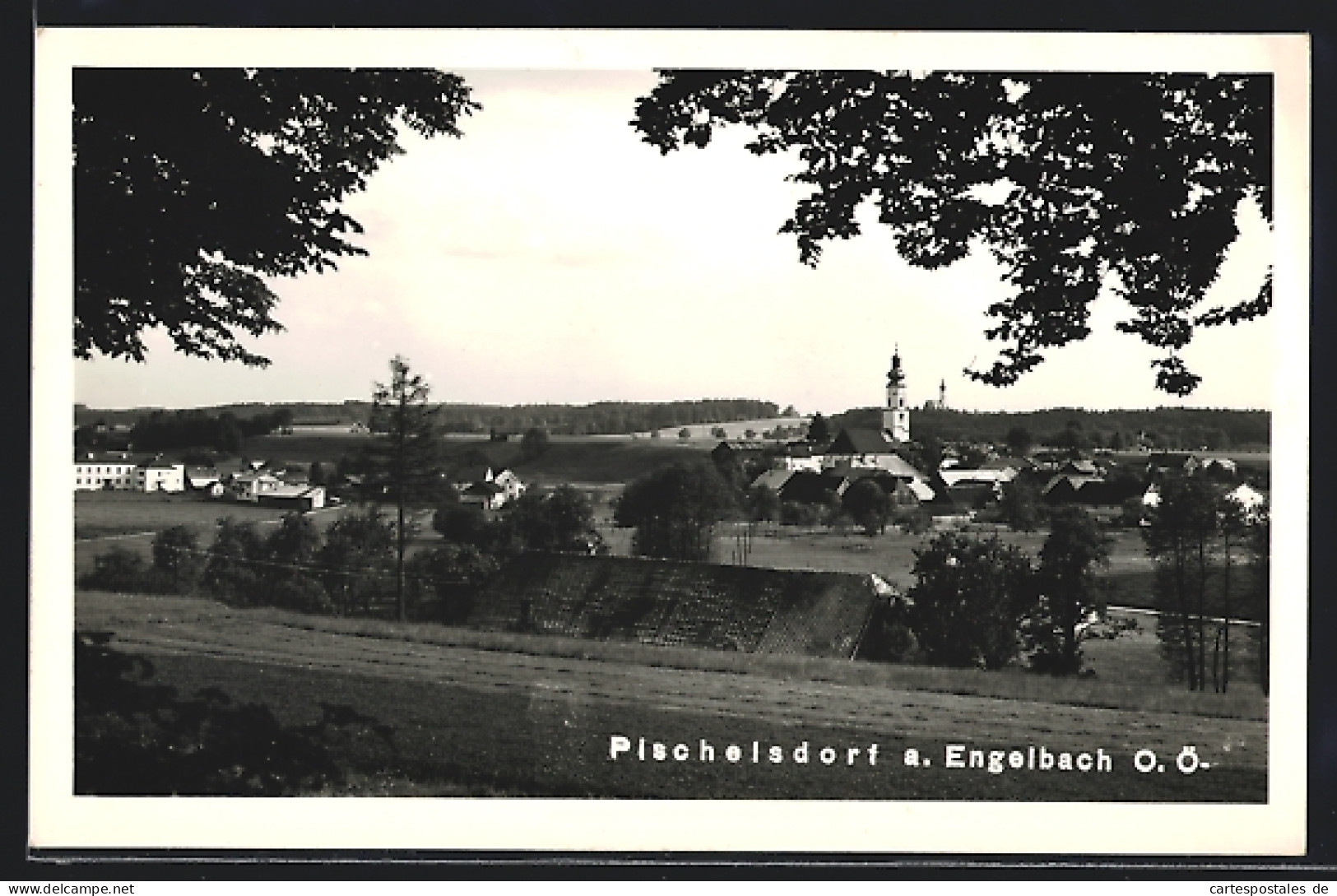 AK Pischelsdorf Am Engelbach, Blick Zur Kirche  - Autres & Non Classés