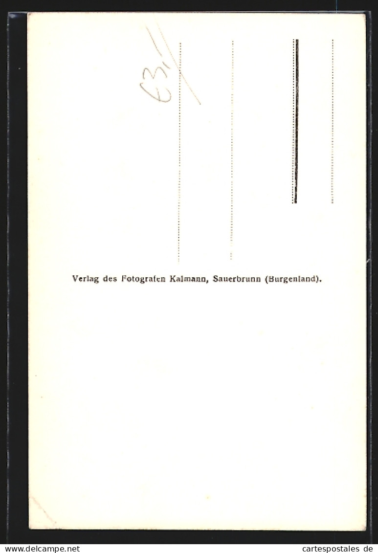 AK Wiesen Im Burgenland, Ein Ruster, ältester Baum Im Burgenland, Ca. 900 Jahre Alt  - Andere & Zonder Classificatie