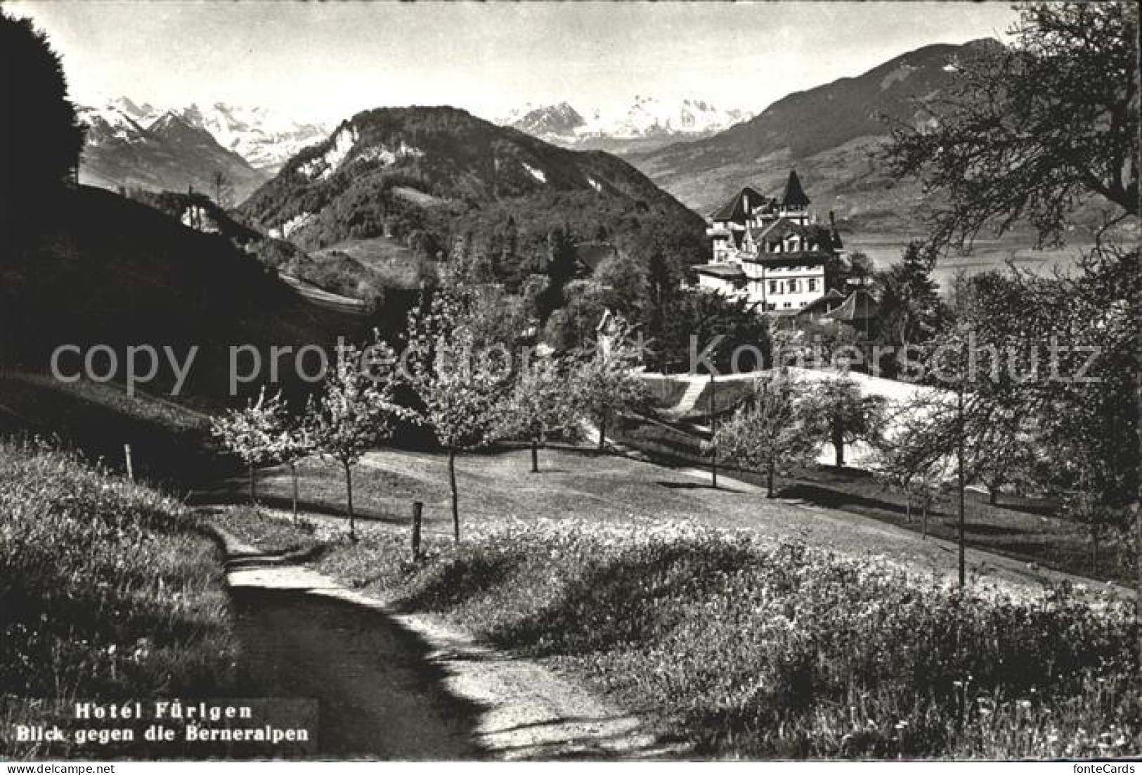 12045882 Beckenried Hotel Fuerigen Blick Gegen Die Berneralpen Beckenried - Other & Unclassified