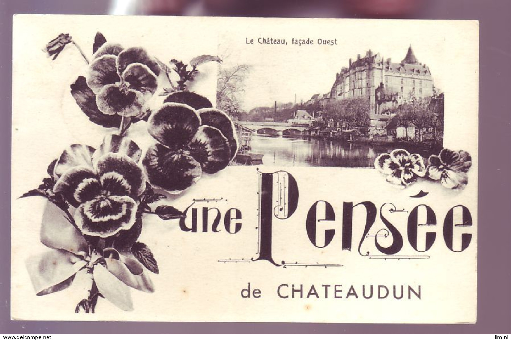 28 - CHATEAUDUN - FLEURS - UNE PENSÉE DE CHATEAUDUN - LE CHATEAU -  - Chateaudun