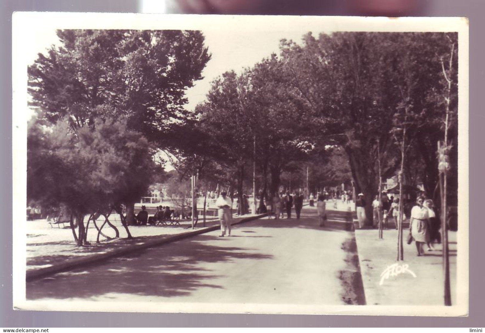 17 - FOURAS - AVENUE DE LA PLAGE - ANIMÉE -  - Fouras-les-Bains